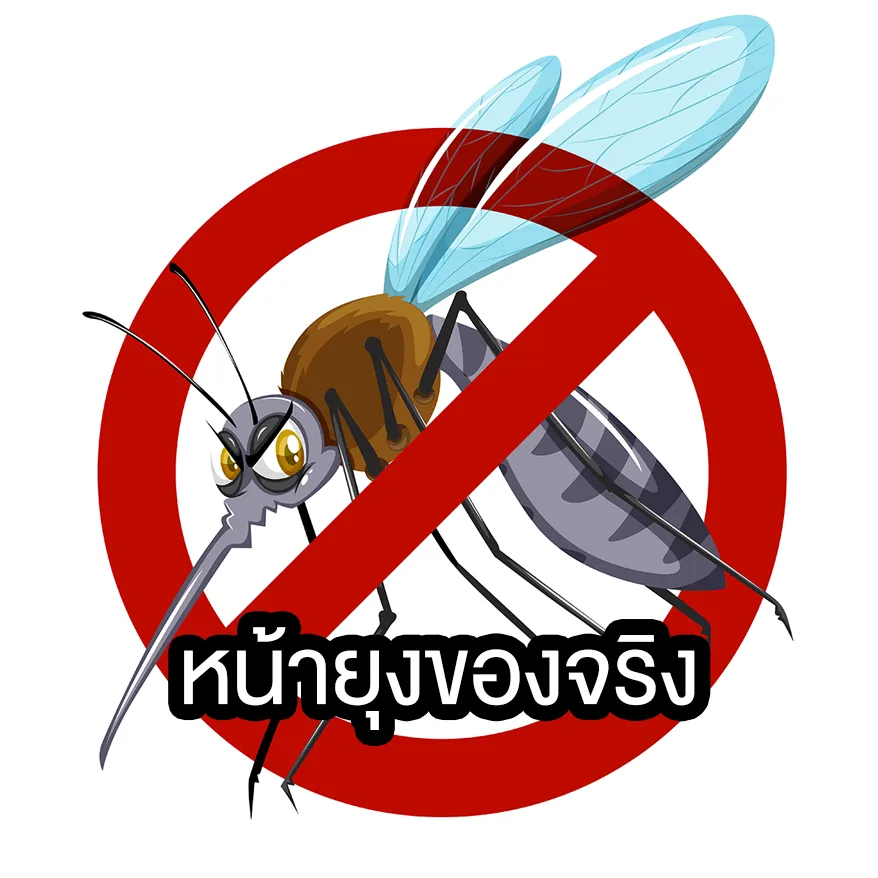What is a mosquito face? What is the mosquito face trend?