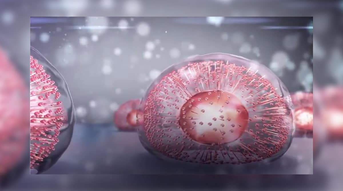 exosome คืออะไร หน้าตาเป็นยังไง