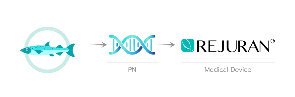 What is Rejuran made of?