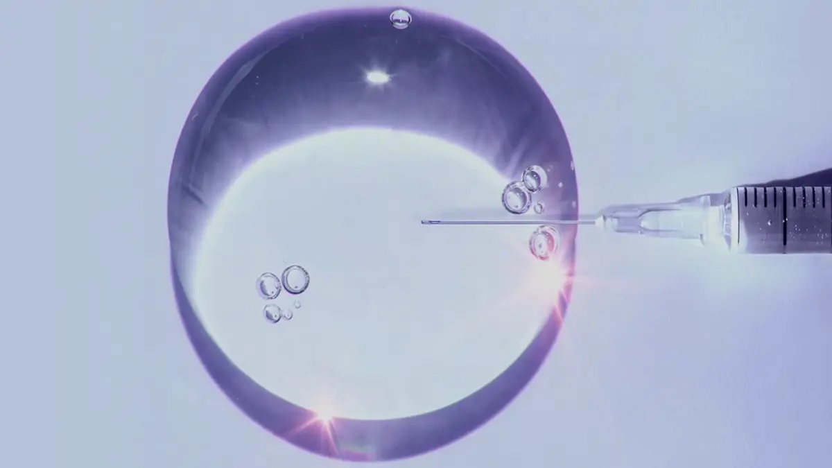 Syringe needle poised at translucent droplet rim — close-up precision injection