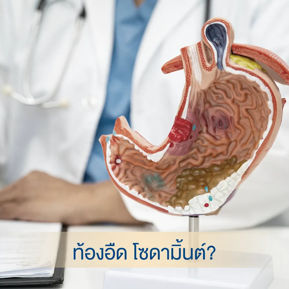 Life size stomach model cross section showing ulcer and bloating during doctor consultation