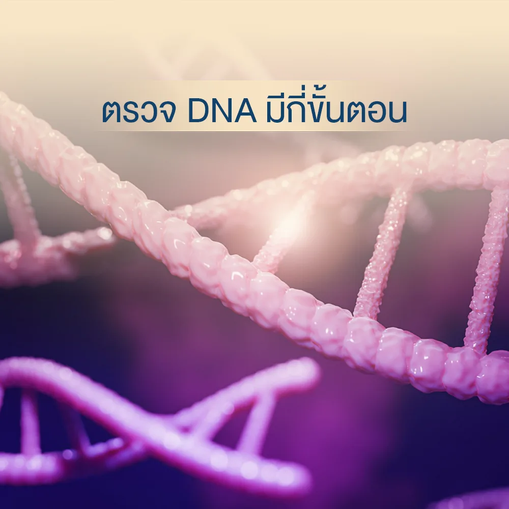 Glossy pink DNA helix with Thai headline: How many steps are in DNA testing?