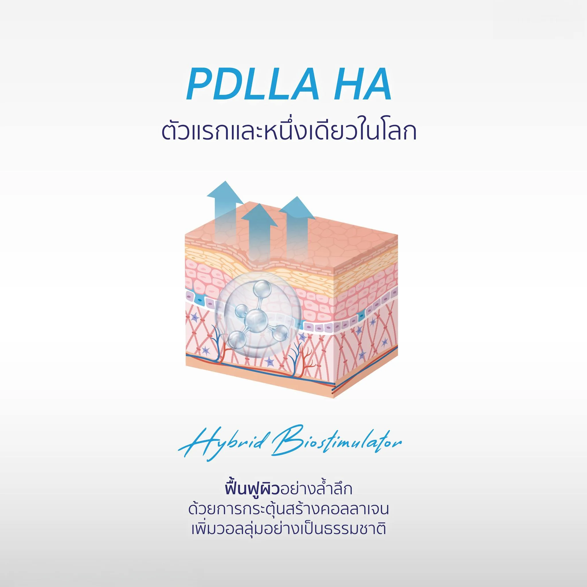 Juvelook vs Sculptra ต่างกันอย่างไร? เลือกตัวไหนดี? เจาะลึกความต่างของสารกระตุ้นคอลลาเจน Juvelookเด่นเรื่องงานผิวละเอียด ส่วนSculptraเด่นเรื่องยกกระชับ ปรับโครงสร้าง